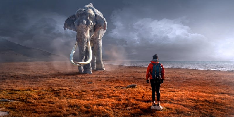 Legendary Creature Encounters